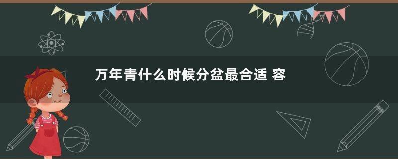 万年青什么时候分盆最合适 容易成活